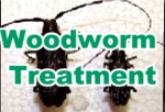 Woodworm Treatment
